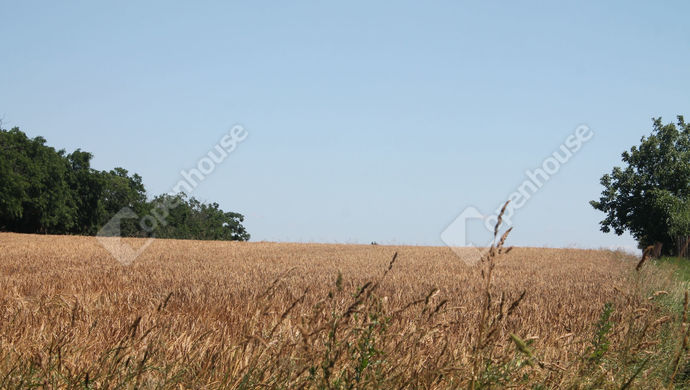 1. kép | Eladó Telek, Szombathely (#170082)