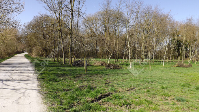 1. kép | Eladó Telek, Pápa (#180394)