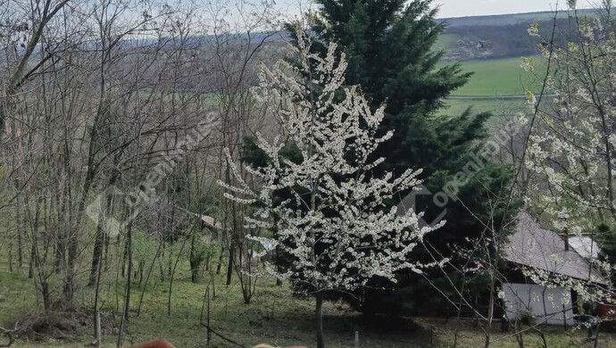 1. kép | Eladó Nyaraló, Ságvár (#176890)