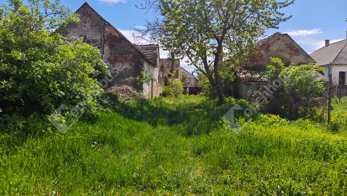 5. kép | Eladó Családi ház, Gór (#181312)