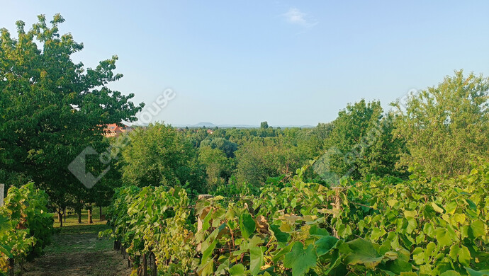 15. kép | Eladó Családi ház, Marcali (#177837)