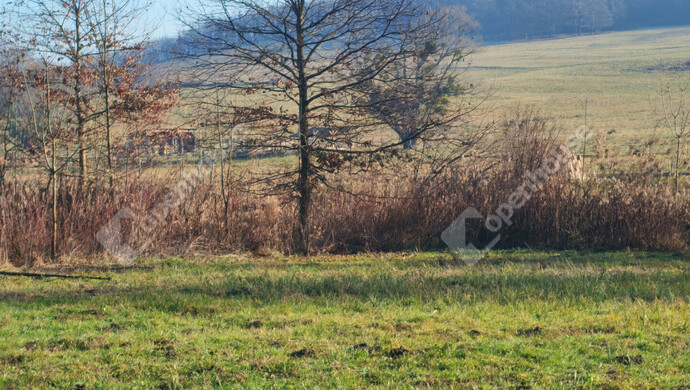 26. kép | Eladó Telek, Kiscsehi (#178890)