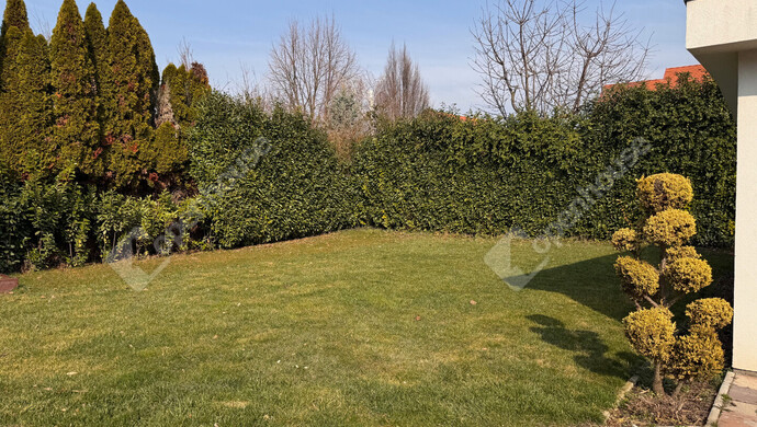 23. kép | Eladó Családi ház, Hegykő (#180200)