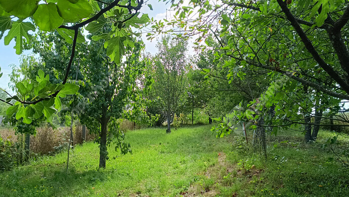 11. kép | Eladó Családi ház, Galambok (#176380)