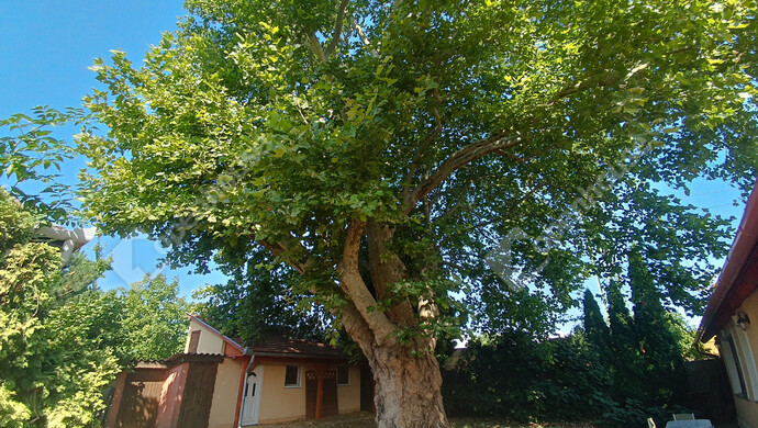 2. kép | Eladó Családi ház, Balatonboglár (#177807)