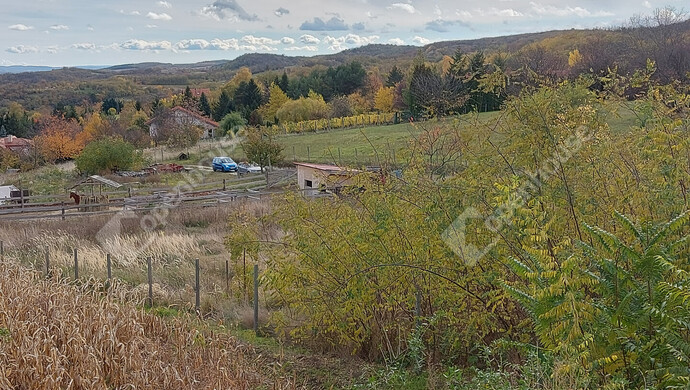 2. kép | Eladó Zárt kert, Nyúl (#178087)