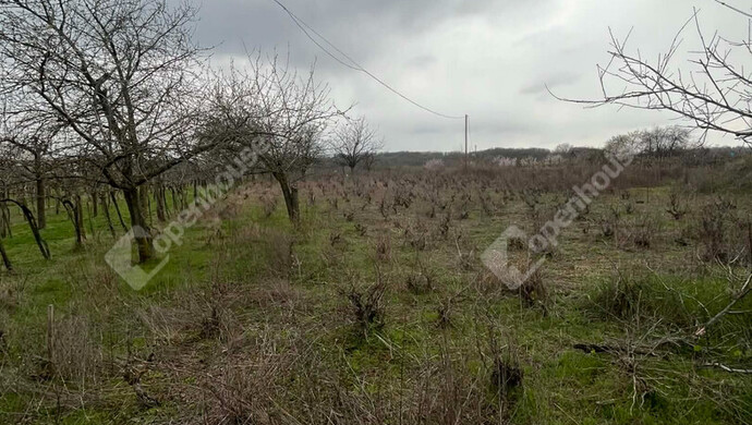 0. kép | Eladó Zárt kert, Simontornya (#180683)