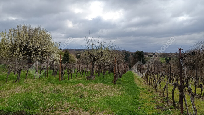 16. kép | Eladó Családi ház, Nagykanizsa (#180983)