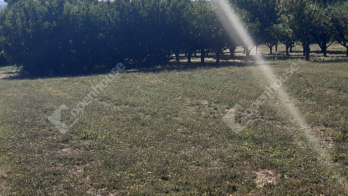 76. kép | Eladó Nyaraló, Sand (#175737)