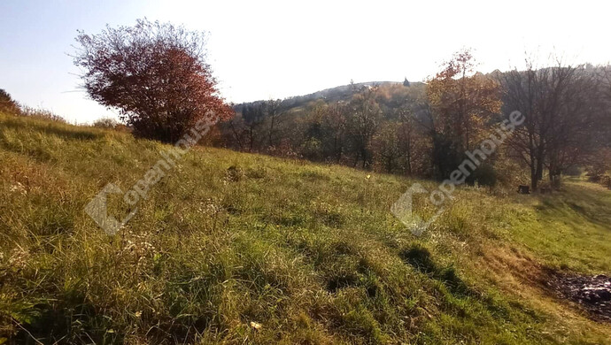 3. kép | Eladó Zárt kert, Zalaegerszeg (#69556)