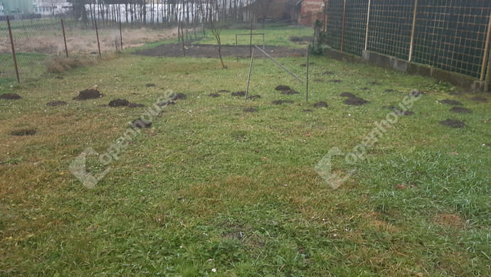 40. kép | Eladó Családi ház, Nagykanizsa (#178718)