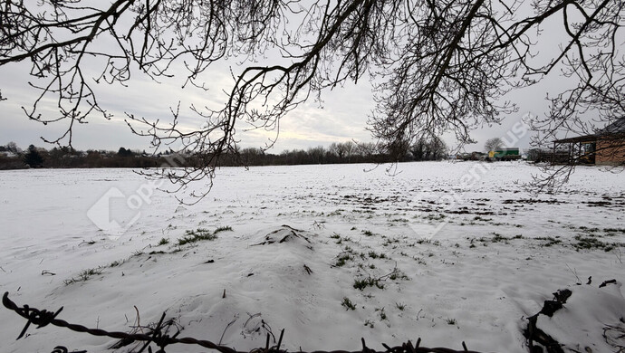 37. kép | Eladó Családi ház, Türje (#179974)