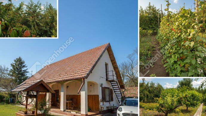 0. kép | Eladó Családi ház, Tass (#179988)