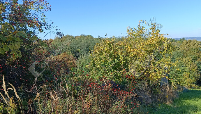 9. kép | Eladó Családi ház, Újudvar (#178058)