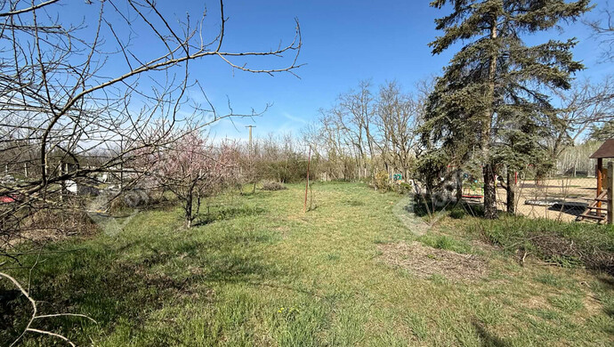 6. kép | Eladó Családi ház, Csévharaszt (#181044)