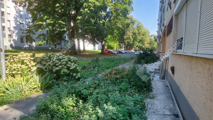31. kép | Park | Eladó Társasházi lakás, Zalaegerszeg (#183480)