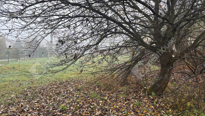 6. kép | Eladó Telek, Söjtör (#178422)