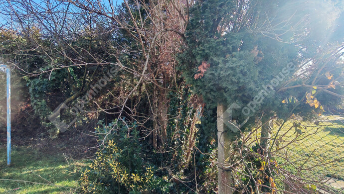 49. kép | Eladó Családi ház, Zalaegerszeg (#179672)