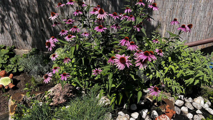 30. kép | Eladó Családi ház, Tiszaújváros (#179694)