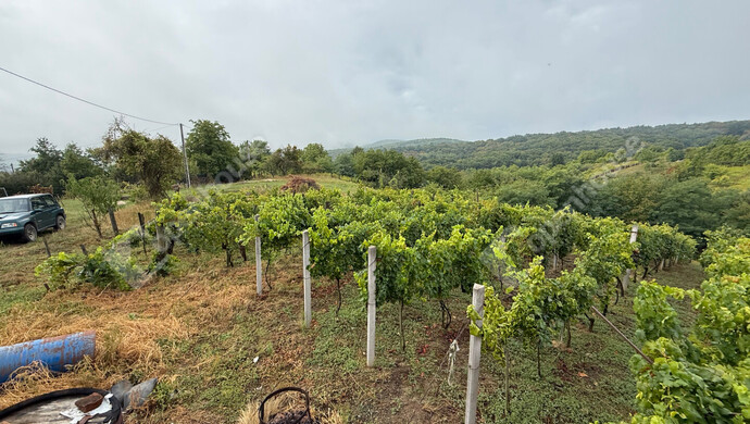 18. kép | Eladó Zárt kert, Nagykapornak (#176803)