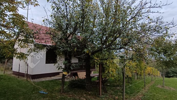 19. kép | Eladó Családi ház, Letenye (#178074)