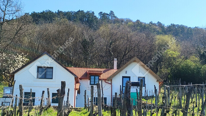 22. kép | Eladó Családi ház, Raposka (#172956)