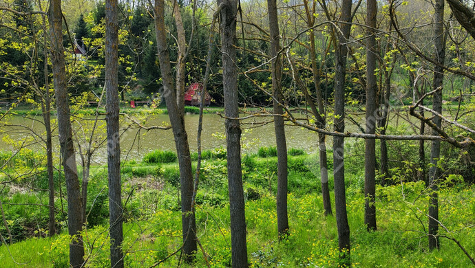 52. kép | Eladó Családi ház, Ötvöskónyi (#181241)