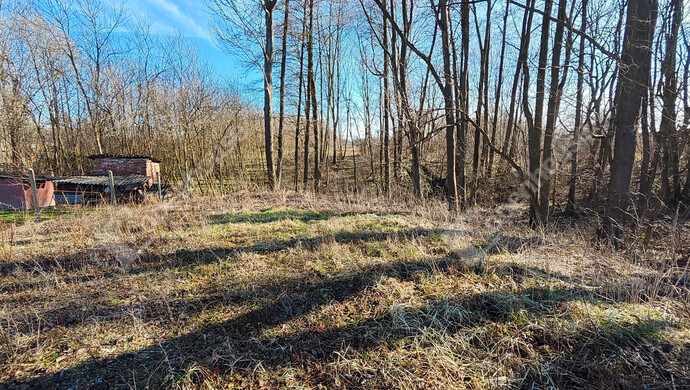 3. kép | Eladó Telek, Halastó (#180058)