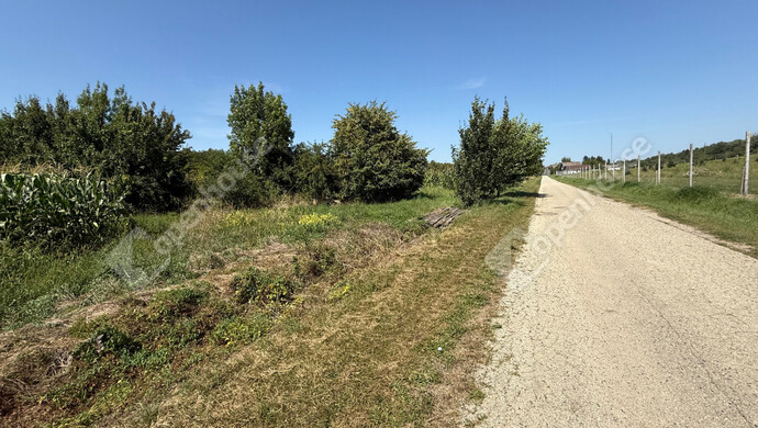 2. kép | Eladó Telek, Nagykutas (#176517)