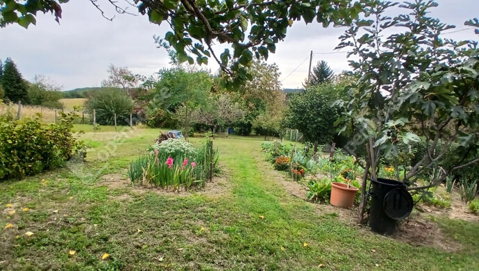 25. kép | Eladó Zárt kert, Zalaegerszeg (#177226)