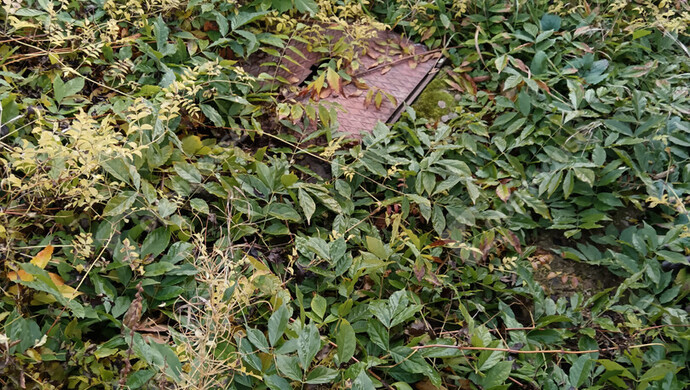 10. kép | Eladó Nyaraló,  (#178423)