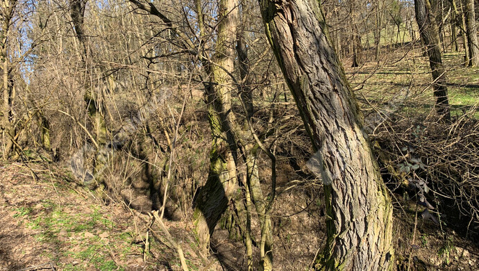 14. kép | Eladó Nyaraló, Homokkomárom (#179898)