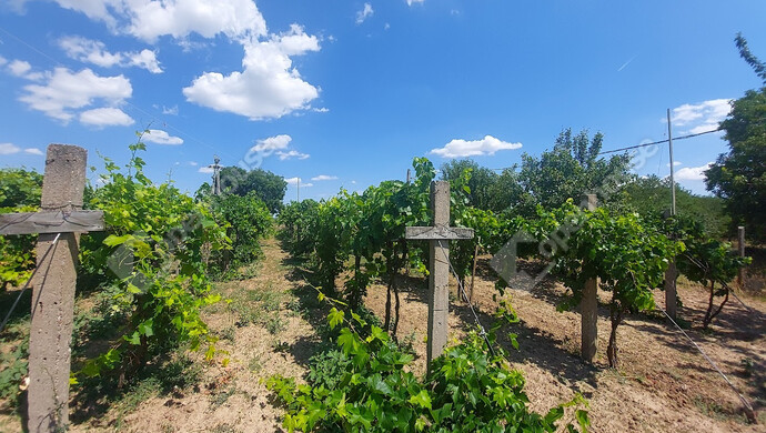 18. kép | Eladó Családi ház, Zics (#176371)