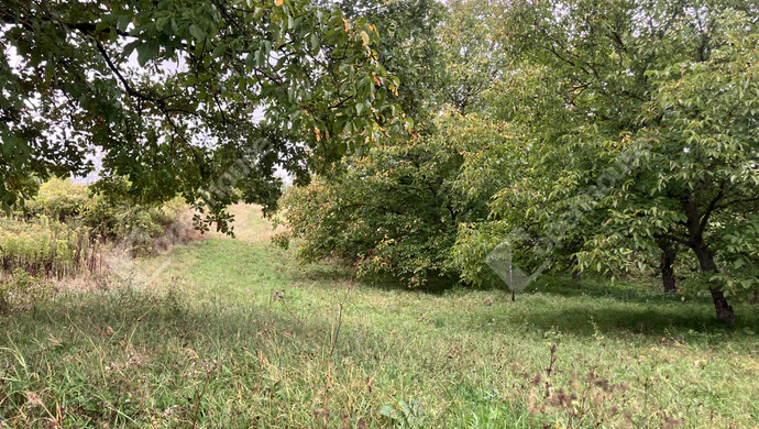 1. kép | Eladó Telek, Vöckönd (#177206)