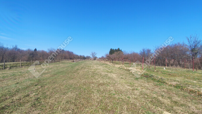 49. kép | Eladó Nyaraló, Becsehely (#180205)