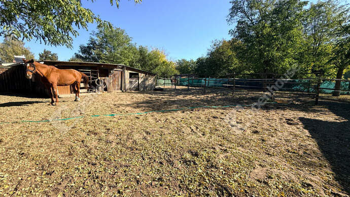 25. kép | Eladó Családi ház, Pilis (#178002)