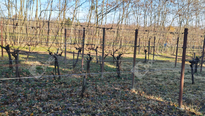 20. kép | Eladó Nyaraló, Letenye (#178652)