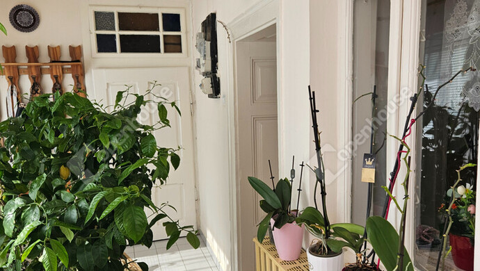 10. kép | Eladó Családi ház, Tényő (#180363)