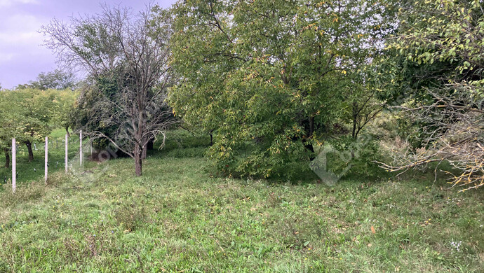 1. kép | Eladó Telek, Vöckönd (#177205)