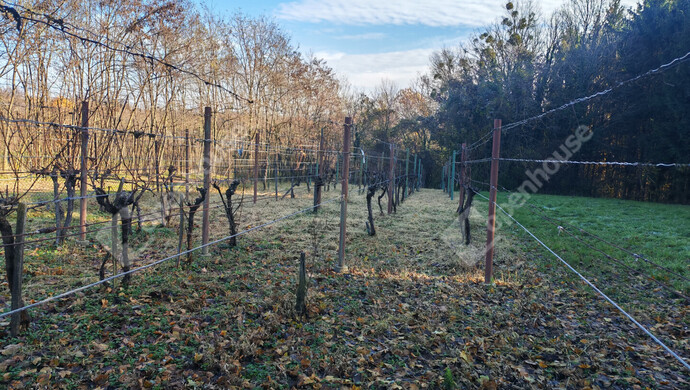 23. kép | Eladó Nyaraló, Letenye (#178652)