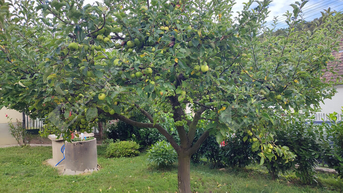 49. kép | Eladó Családi ház, Zalaszabar (#176395)