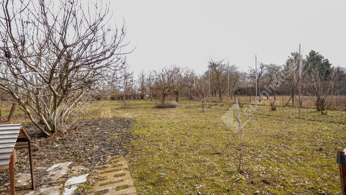 33. kép | Eladó Családi ház, Tass (#179988)