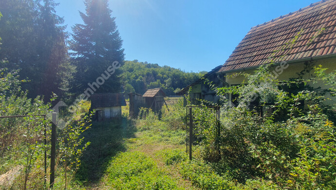 4. kép | Eladó Családi ház, Börzönce (#184358)