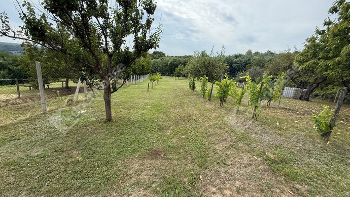 25. kép | Eladó Zárt kert, Nagykapornak (#176686)