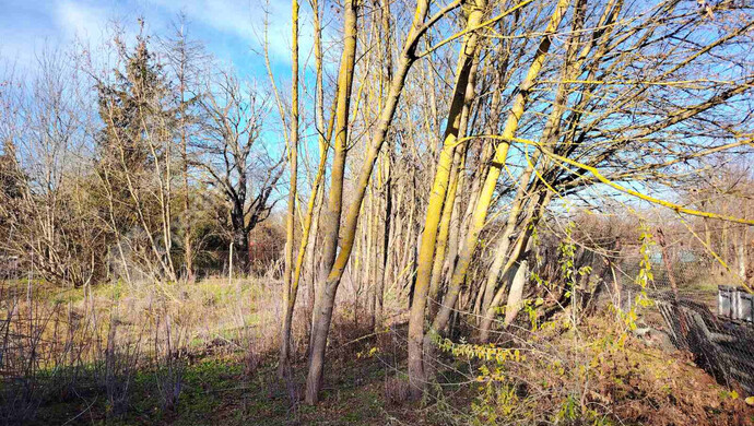 0. kép | Székesfehérvár eladó építési telek | Eladó Telek, Székesfehérvár (#178632)