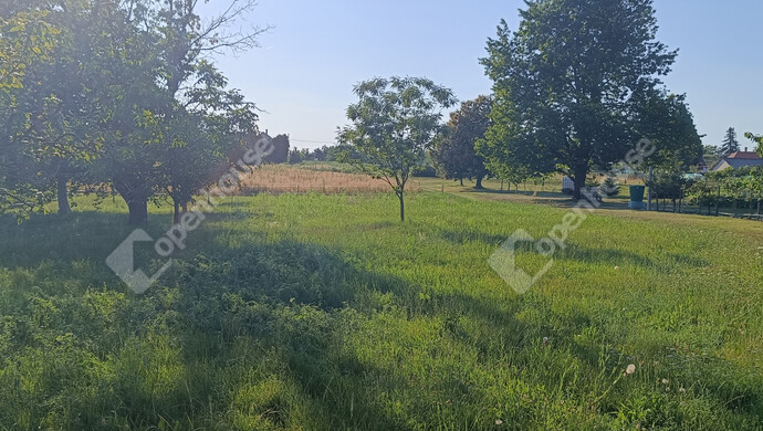 22. kép | Eladó Családi ház, Nagykanizsa (#182797)