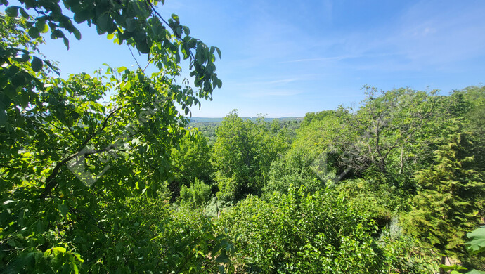 11. kép | Eladó Családi ház, Miskolc (#176191)