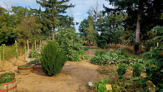 10. kép | Eladó Családi ház, Kapuvár (#177982)