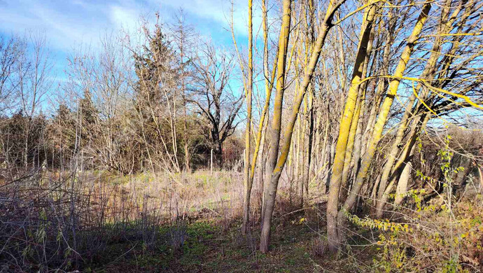 4. kép | Székesfehérvár eladó építési telek | Eladó Telek, Székesfehérvár (#178632)