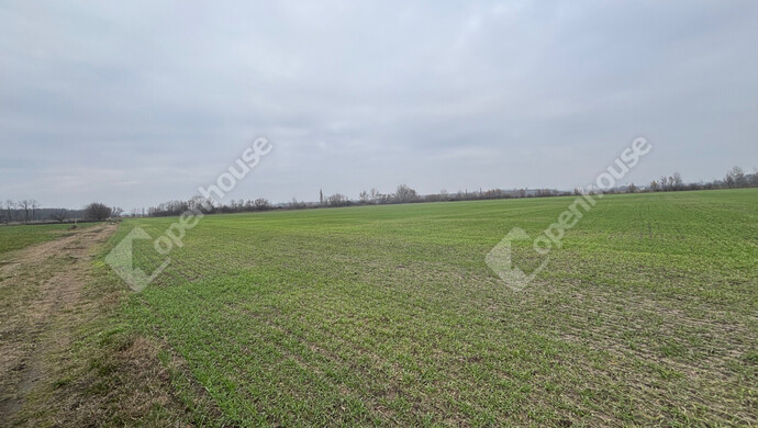 1. kép | Eladó Telek, Csévharaszt (#178893)